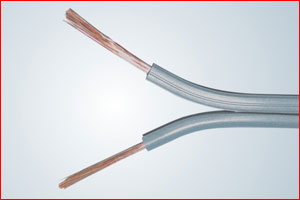 Speaker Cables